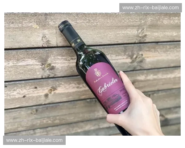 醇酿之心：波尔多与维迪奥——一场跨越时空的葡萄酒对话